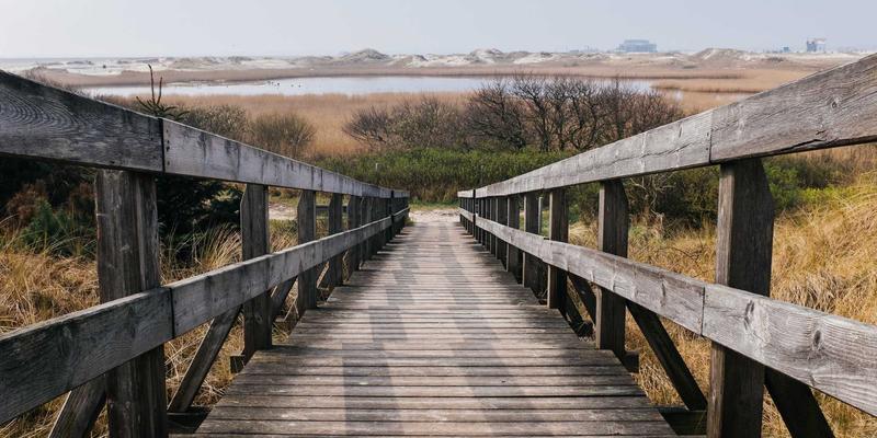 Athleisure风高阶玩法：从健身房到街拍，用生活美学重塑时尚边界