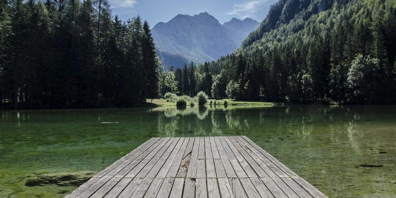 从T台到生活：2024春夏巴黎时装周流行趋势如何重塑你的日常穿搭与家居美学