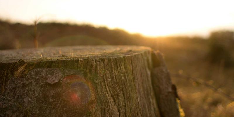 内衣外穿与层次叠搭：从美妆到家居的性感实用主义进阶指南