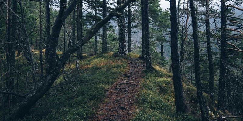 告别显黑显黄！亚洲女性肤色与服装色彩搭配科学指南，从穿搭到家居全面提升气质